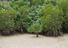 P1000531.JPG