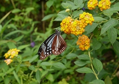 P1000578.JPG