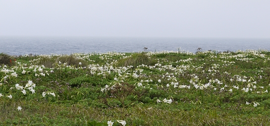 P1000509.JPG