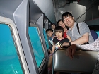 P1000557.JPG
